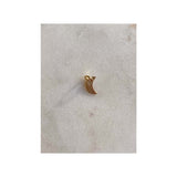 Moon Charm