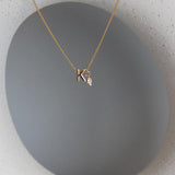 K Initial with April Birthstone Charm Necklace.