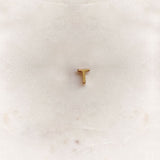 Initial Charm