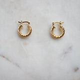 Hailey Twisted Hoop Earrings