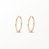 Bobbi Hoop Earrings