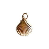 Clam Shell Charm