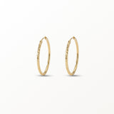 Heidi Hoop Earrings