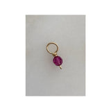 Swarovski Charms (assorted)
