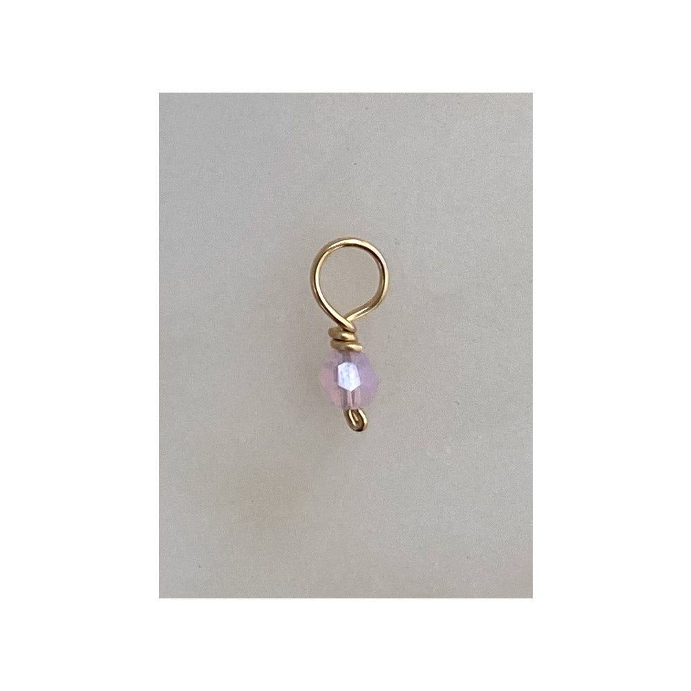 Swarovski Charms (assorted)