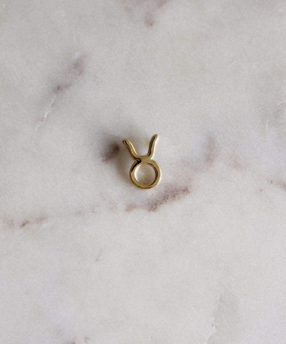 Zodiac Pendants