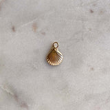 Clam Shell Charm