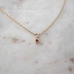January Birthstone Necklace