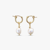 Aphrodite Hoops