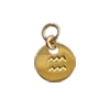 Zodiac Charm