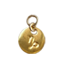 Zodiac Charm
