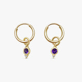 February Birthstone Earrings
