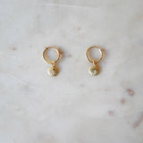 Paradise Clamshell & Pearl Earrings