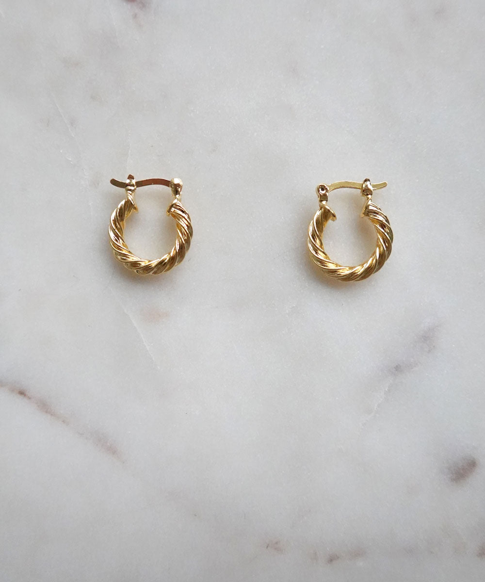 Hailey Twisted Hoop Earrings