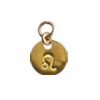 Zodiac Charm