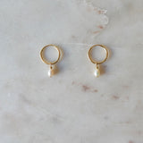 Paradise Clamshell & Pearl Earrings