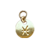 Zodiac Charm