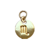 Zodiac Charm