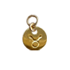 Zodiac Charm